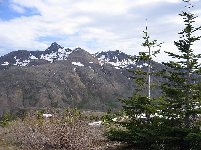 Mount St.Helens (20).JPG